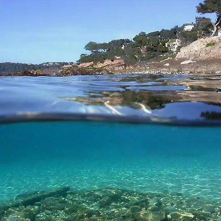 Apartamento Mourillon, Charmant T3 Proche Plages Et Centre Ville. *